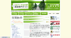 Desktop Screenshot of central-tp.com
